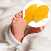 Bebé Ginkgo para un nacimiento o bautizo